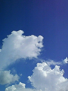 *海 と カキ氷 (あざまサンサンビーチ と 麻布茶房)