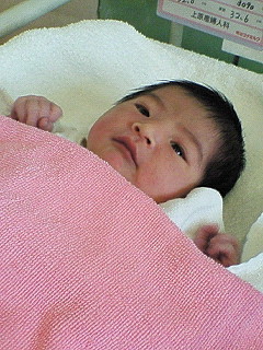 *新たな 生命(いのち)