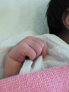 *新たな 生命(いのち)