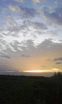 10月最終週♪ 2008/10/27 07:06:52