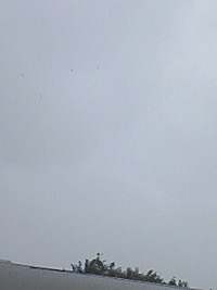 当たり！ 2008/11/13 11:22:08