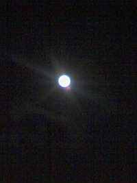 十六夜月♪ 2008/11/13 19:39:57