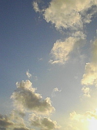 気持ち良い朝♪ 2008/11/14 07:56:31