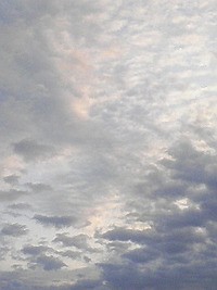 冬の空・・・ 2008/11/20 07:29:09
