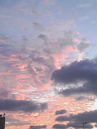 今日からグランドオープン！ 2008/12/04 07:52:34