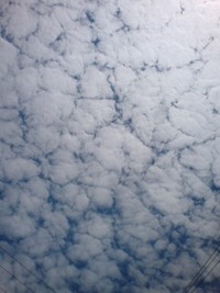 空模様 2008/08/30 12:49:35