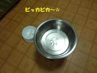 ルビーとシュリの思い出。。(283) ルビーとシュリの思い出。。(283)