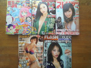 キターーーー(v^-^v)♪