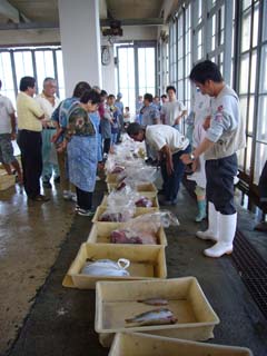 本マグロの値段
