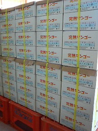 2009年07月01日