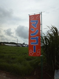 2009年06月26日
