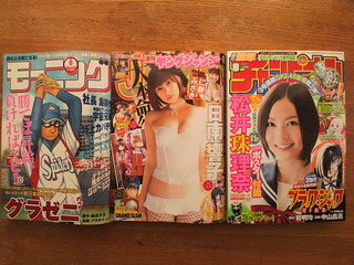 キターーーー(v^-^v)♪