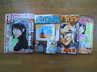 キターーーー(v^-^v)♪