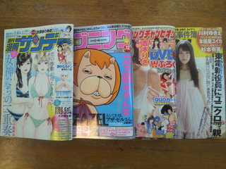 キターーーー(v^-^v)♪