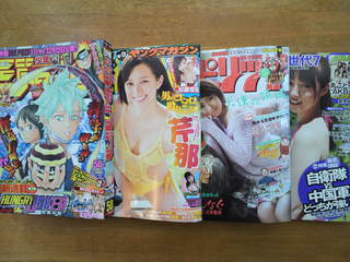 キターーーー(v^-^v)♪