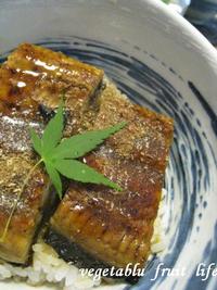 うなぎ 2008/07/25 13:27:19