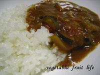 カレーシリーズⅠ　夏野菜カレー 2008/07/29 11:46:14