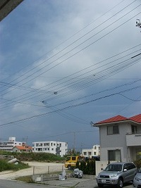 シパシパ(◎_◎;) 2012/05/19 10:31:58