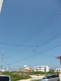 もう最終日！ 2012/05/06 10:41:11