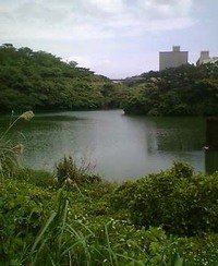 道に人あり