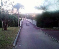 散歩ダブルヘッダー