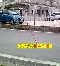 私は見た!!