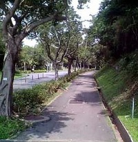 ああ、神様