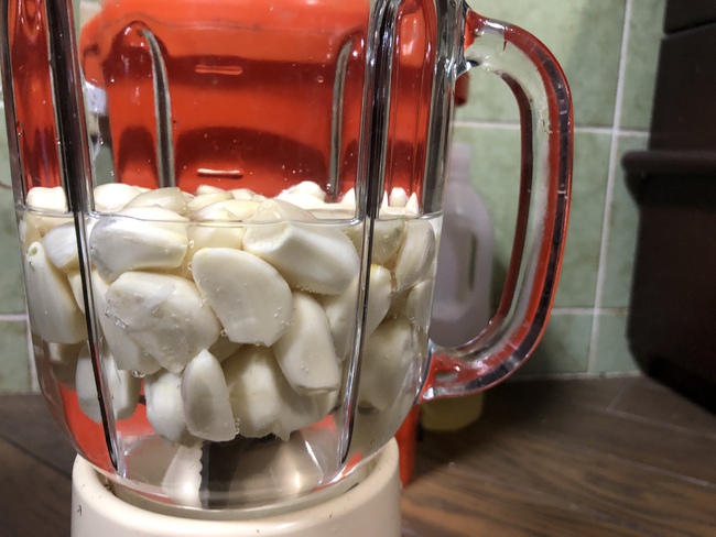 手作り虫よけスプレー用に「にんにく水」を作ったら翌朝青色の水になっていた~ 手作りにんにく水の虫よけスプレー