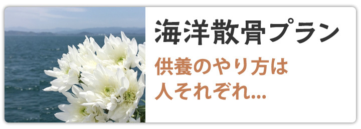 セレモニー沖縄について セレモニー沖縄 海洋散骨プラン