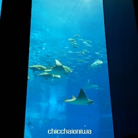 ☆充実した夏休みの週末でした(*´ω`*)☆ ☆充実した夏休みの週末でした(*´ω`*)☆