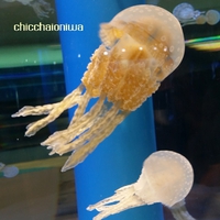 ☆充実した夏休みの週末でした(*´ω`*)☆ ☆充実した夏休みの週末でした(*´ω`*)☆