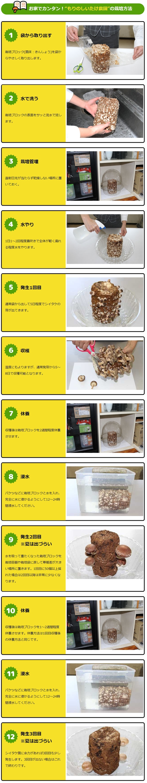 【欲しい!】とっても気になる「しいたけ栽培キット」節約になるよね・・・?(笑) 【欲しい!】とっても気になる「しいたけ栽培キット」節約になるよね・・・?(笑)