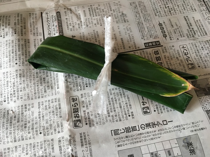 実家でムーチー作り! 実家でムーチー作り!