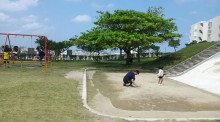 失われていた画像?? 失われていた画像??