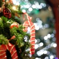 Happy☆Christmas!!