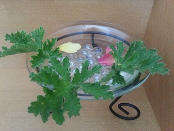 厄よけ・・・虫よけ・・・