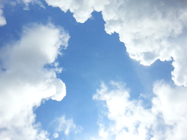 気持ち良いお天気ですね~♪
