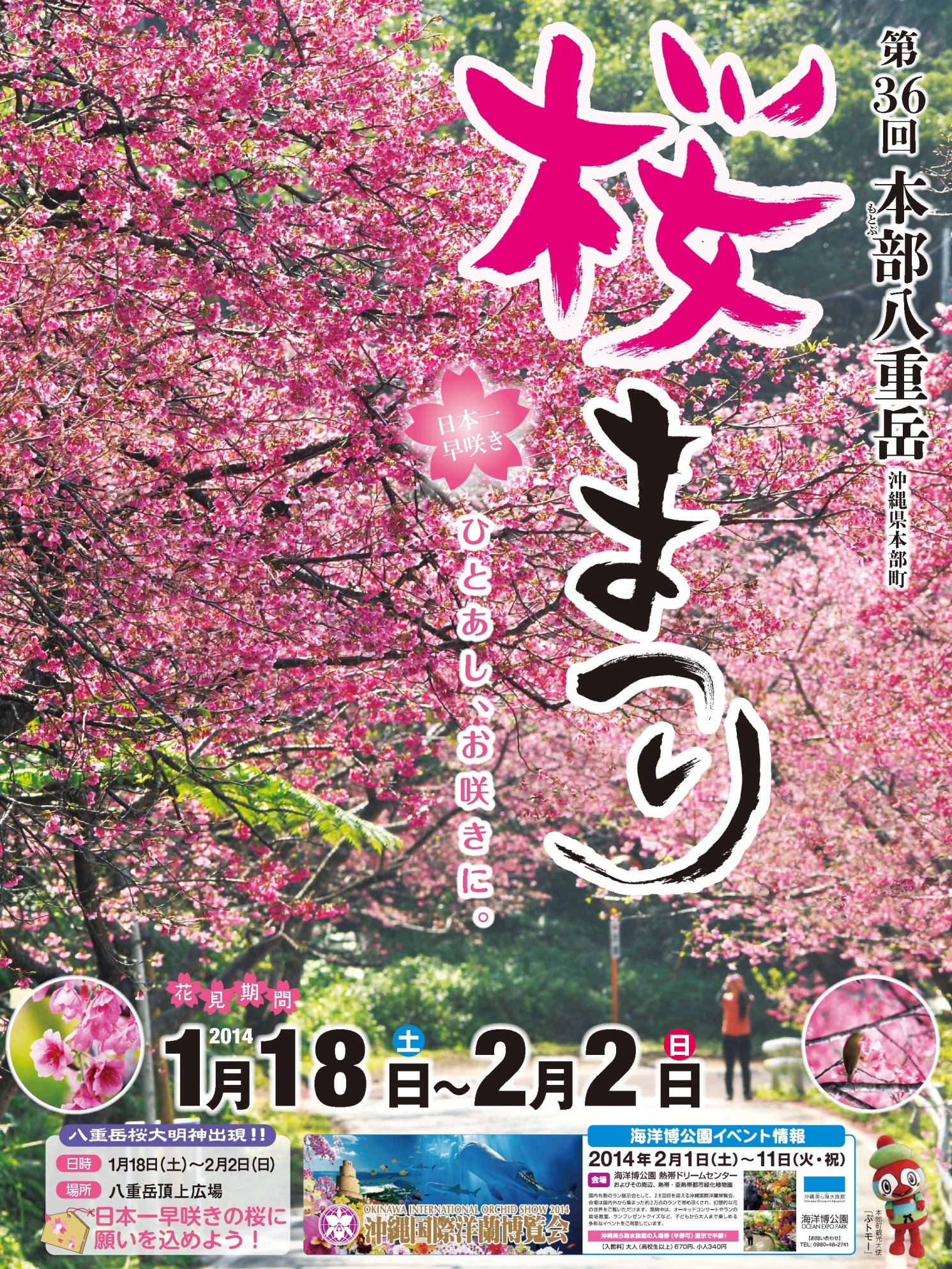 いよいよ開催!沖縄の春がやってきた~☆