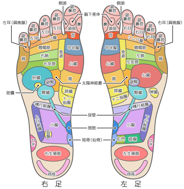 足つぼで体調がわかる?