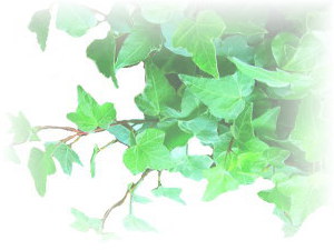 【夏休み特別企画】予約状況☆