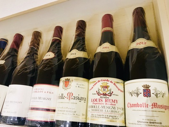 明日、30日はブルゴーニュ産ワイン全品20%OFFの日！