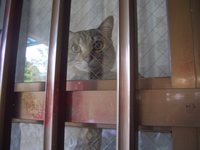 お見送り 2008/05/01 21:37:45