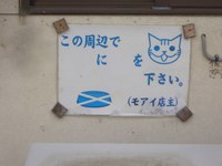 問題です 2008/06/05 21:41:28