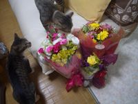 食べないで～ 2008/06/04 11:35:04