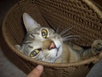 お仕置きじゃ～？ 2008/06/08 11:16:00