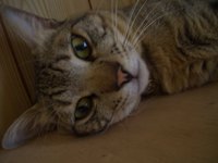 今日も全員集合 2008/06/22 21:57:54