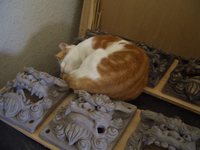 あぶにゃい・・・ 2008/08/09 14:13:33