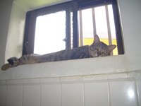 ２ヶ月に一度の・・・ 2008/08/18 13:11:06
