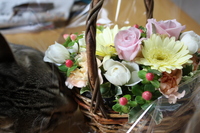 お花