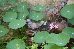 花いっぱい